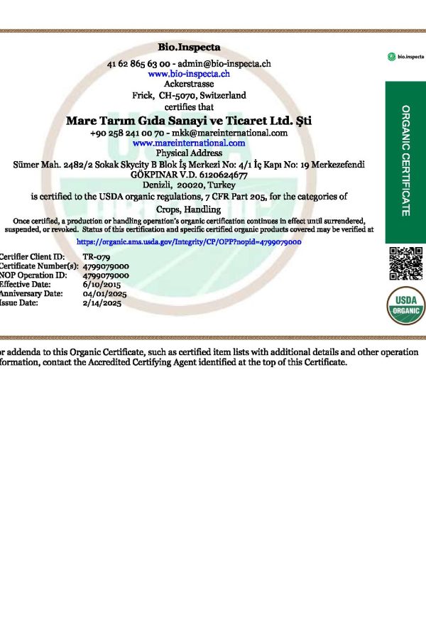 24-MCNOP-MARE-page-001